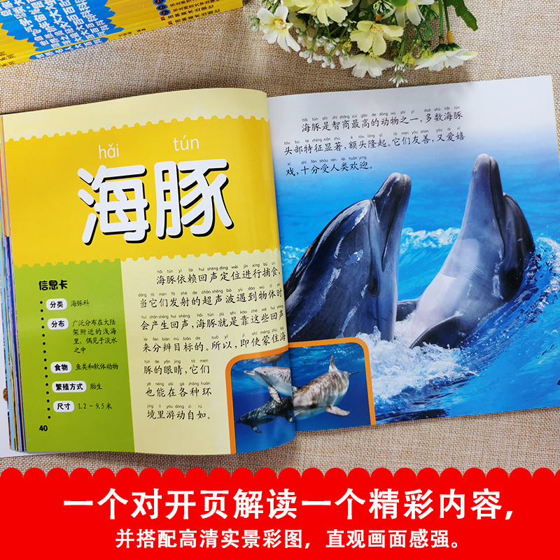 多彩童年我爱读系列全24册注音版 海洋动物百科大全书5-6-8-9岁少儿恐龙书人体地球宇宙太空野生动物幼儿DK科普书籍小学生读物百科
