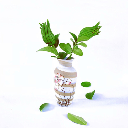 La mano recién recogida del Buda Jinhua para verla