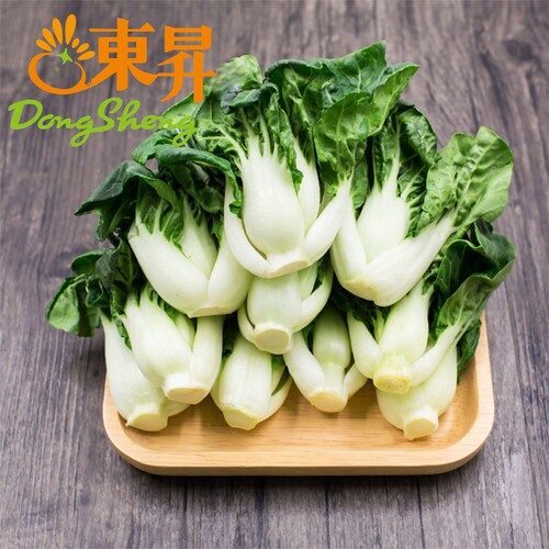 东升农场 供港宁夏斗白苗 鹤斗白苗 矮脚奶白菜苗 火锅食材250g - 图0
