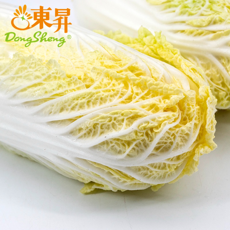 东升农场 有机娃娃菜 微型大白菜  广州供港新鲜蔬菜配送400g - 图1