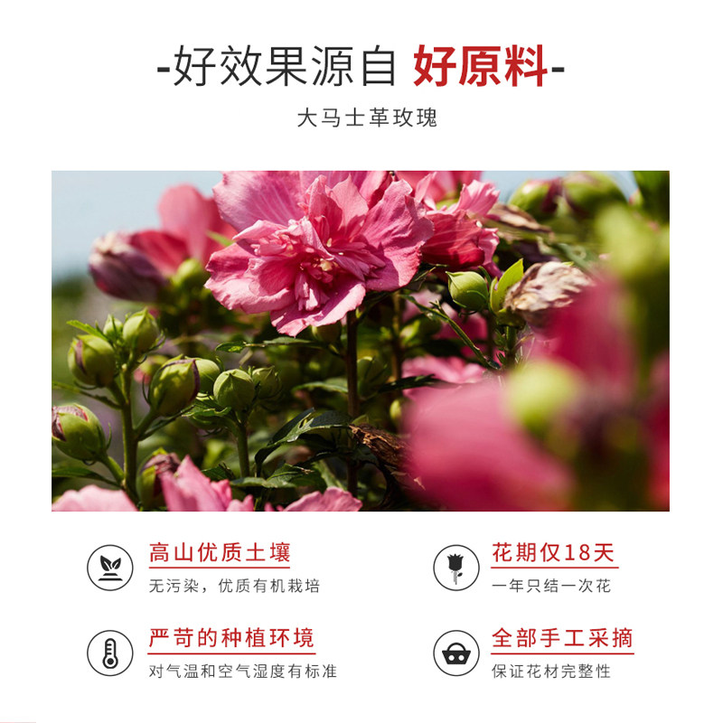 嘉媚乐玫瑰提亮保湿纯露嫩爽肤水 艾而美化妆品化妆水/爽肤水