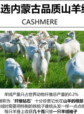 正品纯山羊绒鄂尔多斯市围巾线