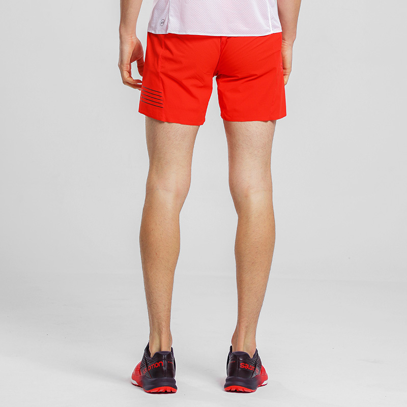 salomon s lab shorts 4