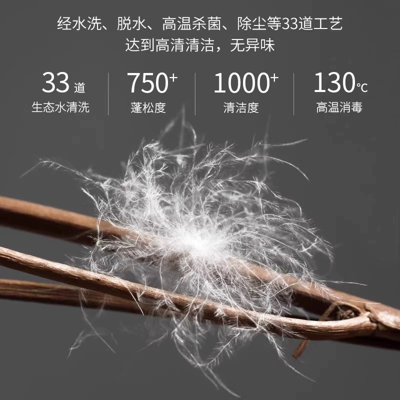 水晶家纺羽绒枕头五星级酒店鹅绒枕芯学生成人专用助睡眠护颈椎,淘宝优惠券,粉丝福利购,淘宝优惠卷