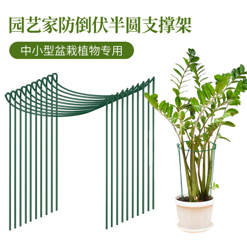 虹越花架支撑杆防倒伏龟背竹西红柿番茄支撑架10个装植物花架支架-图1