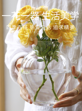 曼叙透明花瓶摆件轻奢高级感