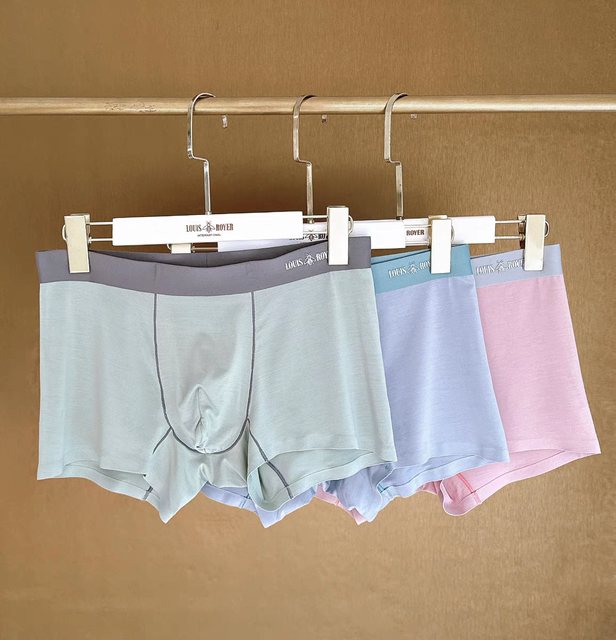 LOUISROYER Men's Luxury Slip 100s Lenzing Modal Plant Underwear Seamless Boxer Briefs 2089