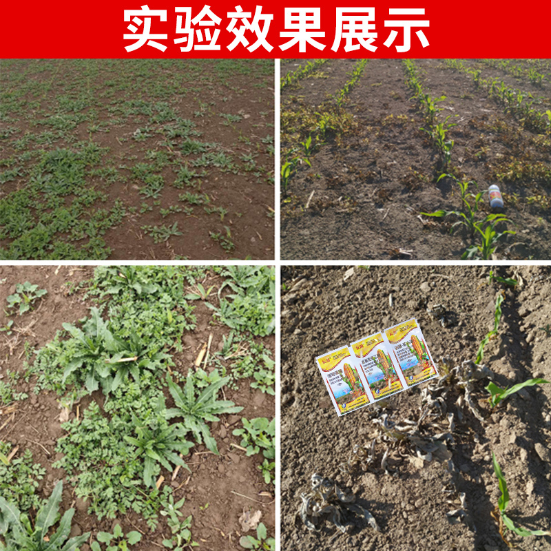 玉米苗后除草剂安苞全型3连袋杀草封地一季谷无草烟嘧磺隆全杂草-图1