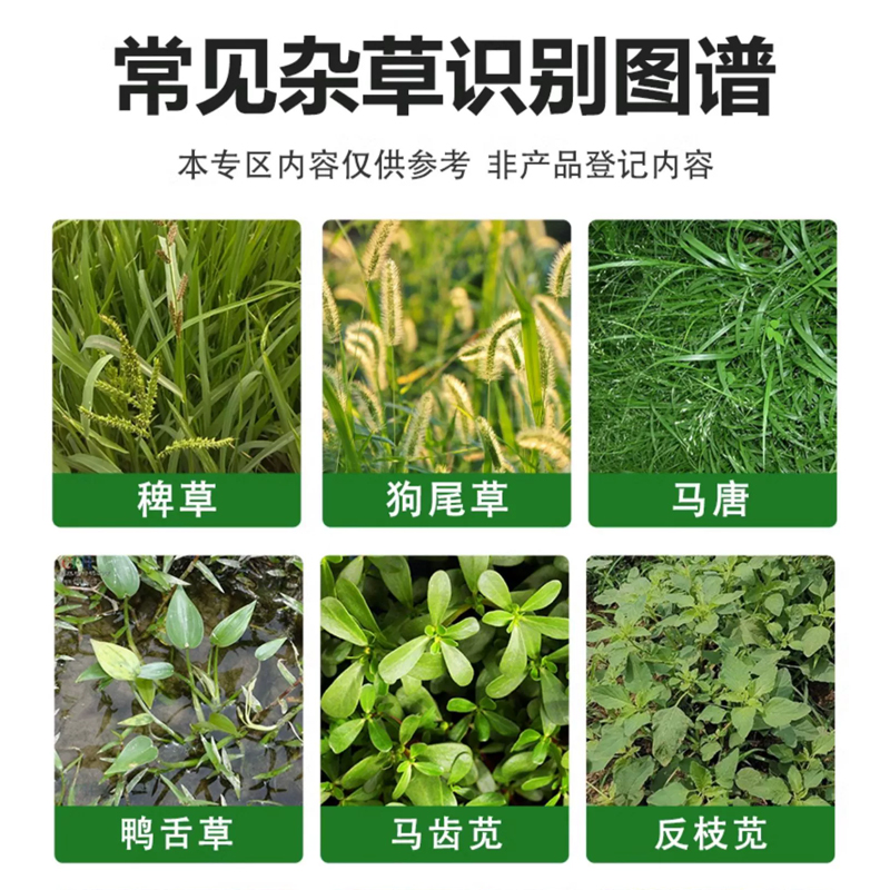 锄掌柜精草铵膦铵盐除草烂根剂果园荒地恶性杂草专用正品农药大全 - 图1