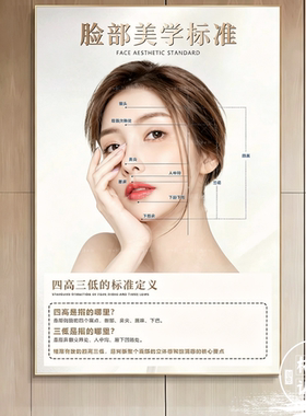 鼻眼脸光影面部美学标准装饰画轻医美整形挂画美容院高级感墙壁画