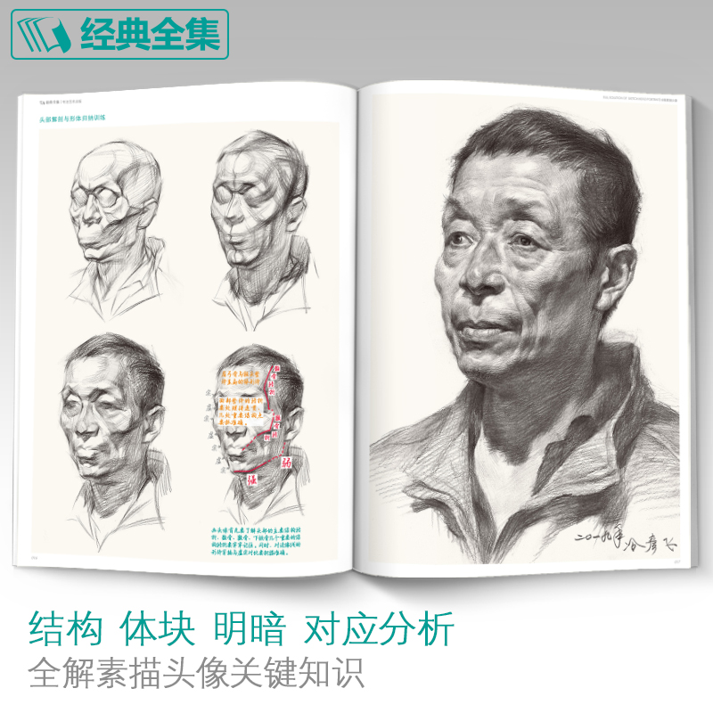 经典全集全解素描头像人物临摹书结构体块深度分析教程对画写生绘画照片范本美术高考联考美院大8开八开教材杨建飞主编-图2