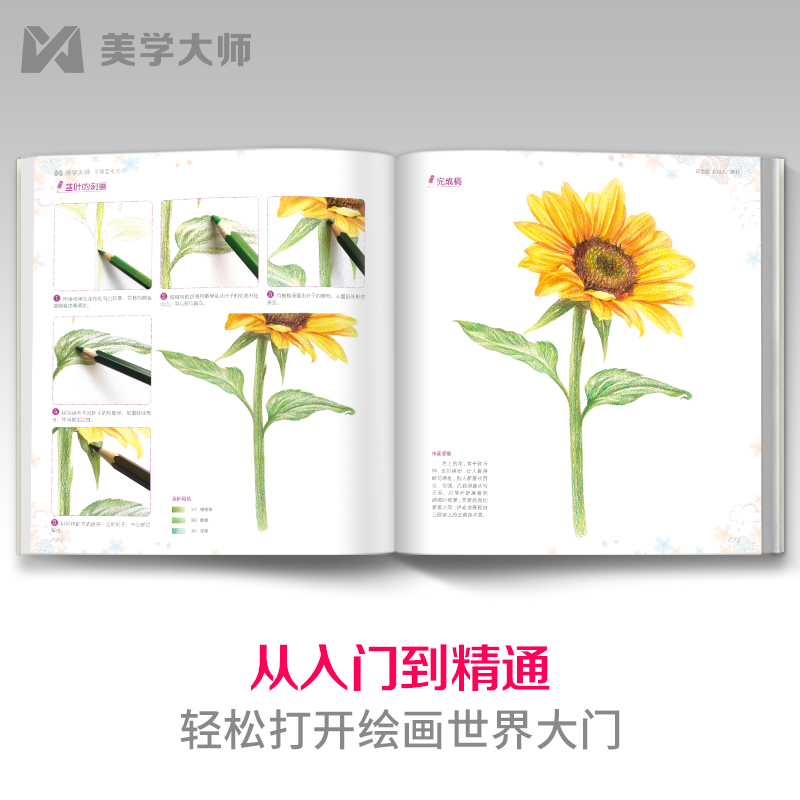 花之绘 彩铅入门教程书籍零基础初学者手绘插画本写实花卉植物草多肉画册临摹教材线稿成人儿童美术兴趣涂色 中国书店 - 图2