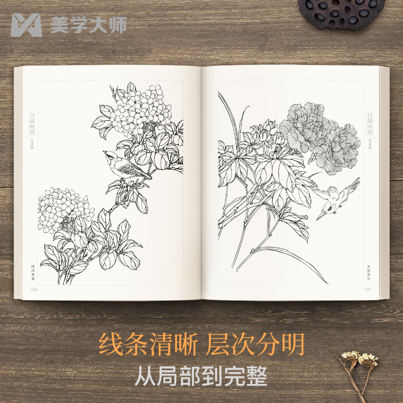 美学大师 白描画谱 花卉篇 中国工笔技法画册集书籍入门初自学者零基础教程材成人手绘临摹勾线名家底稿图大全美术绘画 - 图3