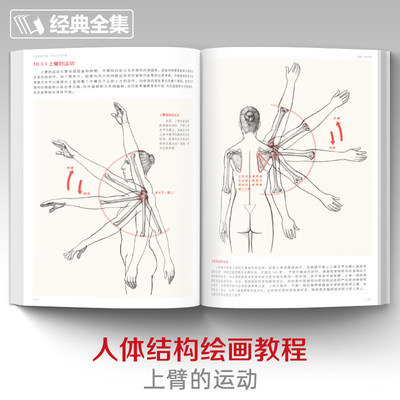 2本套装 全解人体结构 艺用解剖学保罗 里奇尔素描美术绘画入门书籍理解骨骼肌肉运动造型形体手绘技法笔记图集教程材 虎窝淘