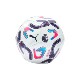 Premier League Polyurethane Mini Football PUMA Puma