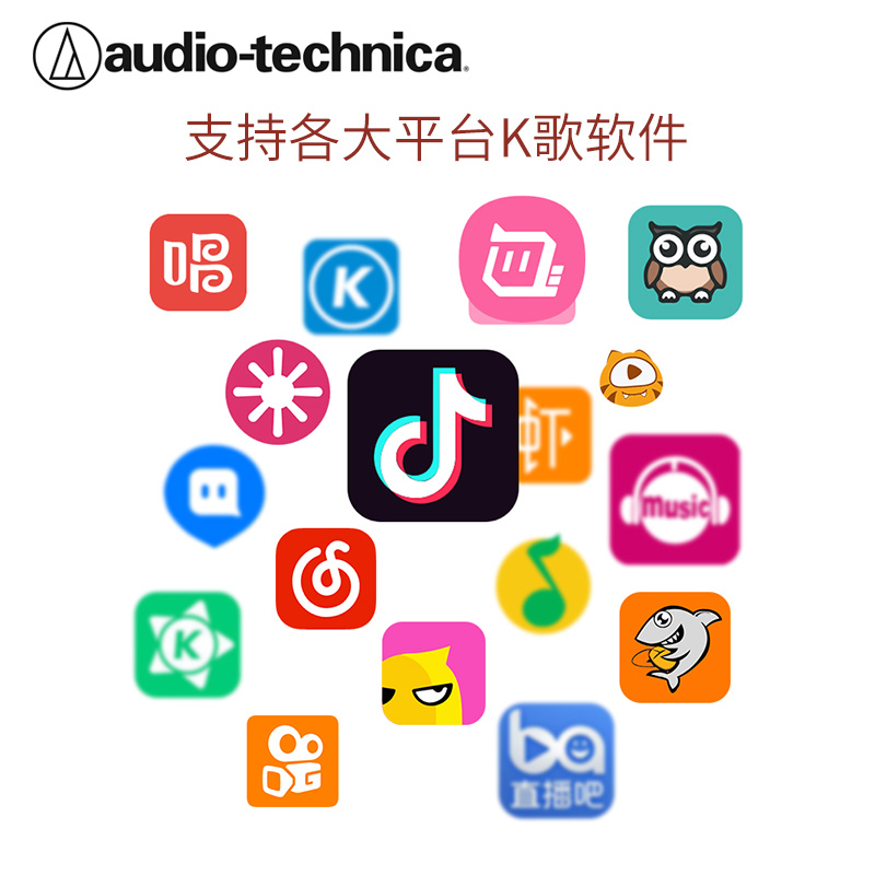 AudioTechnica/铁三角AT2020电容麦克风话筒手机声卡直播专业录音-图2