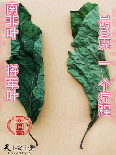 昊安堂南非叶斑鸠菊非洲叶将军叶树 干叶茶调理三血糖压高 祛酸 - 图0
