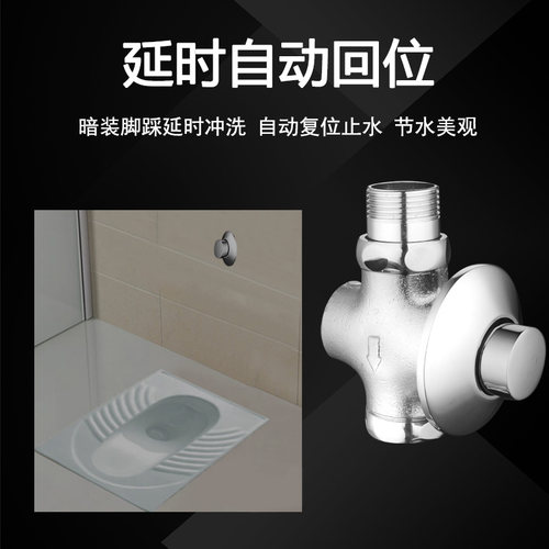 时龙 全铜入墙式暗装手按式大便冲洗阀/冲水阀/蹲/全铜  CL08 - 图2