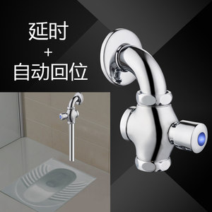 时龙 卫生间厕所大便池延时冲洗阀蹲便器冲水阀手按式自闭式开关