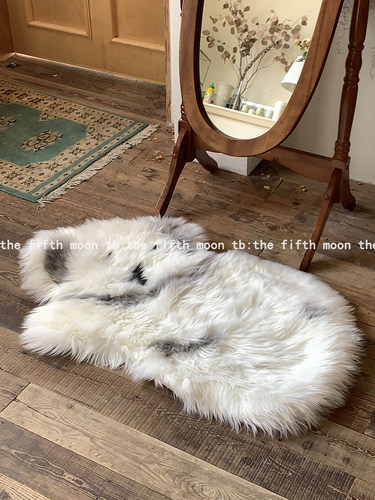 thefifthmoon可爱动物考拉北极熊仿毛毛绒地垫地毯客厅卧室衣帽间 - 图0