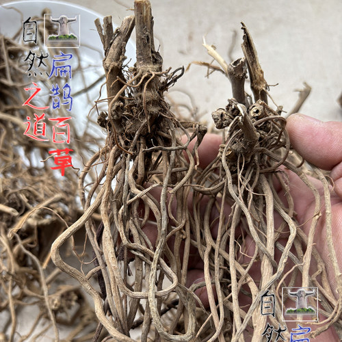 神农架 怀牛膝个子250克野生药材全根泡茶炖汤泡酒滋补包邮 - 图1