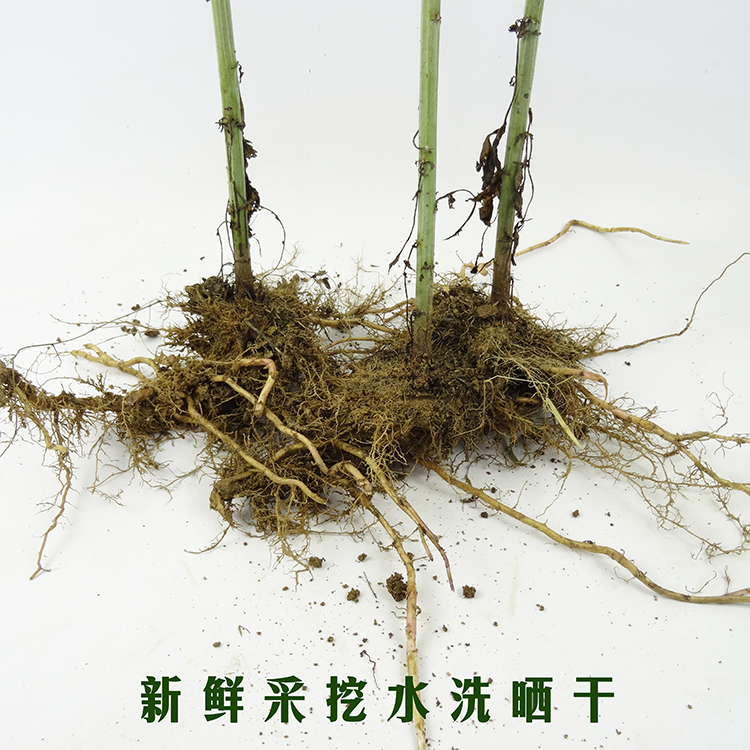 野生艾叶根老艾根艾草叶根250克无掺假滋补煲汤泡茶2件包邮-图1