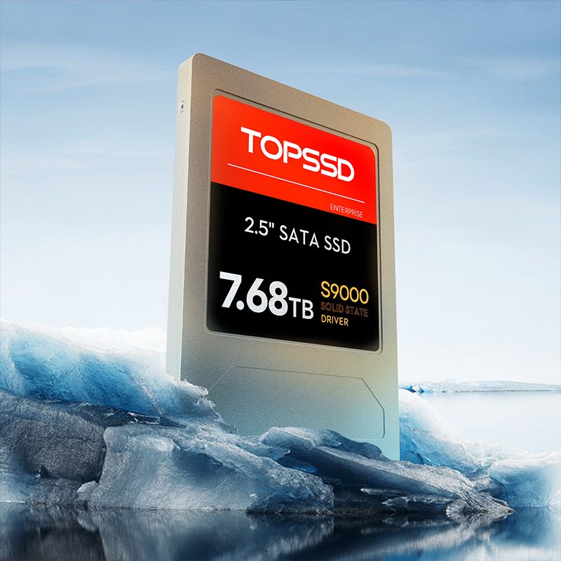 天硕(TOPSSD) S9000系列国产化企业级2.5