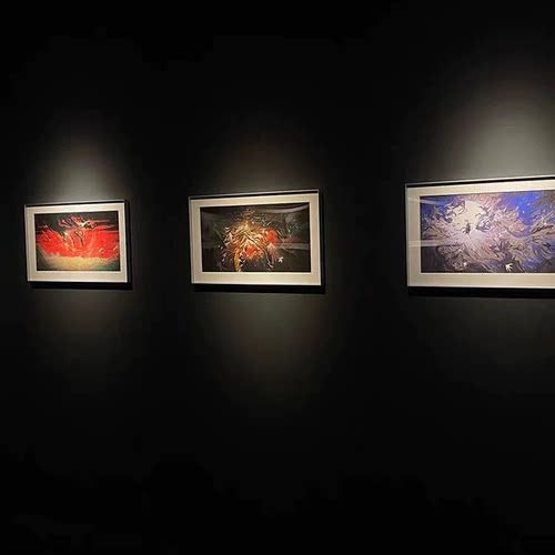 轨道射灯聚光博物馆美术馆展会清吧专用滑轨灯变焦防眩调光展览灯 - 图1