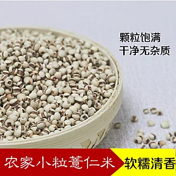 【助农】熟薏米茶500g[5元优惠券]-寻折猪