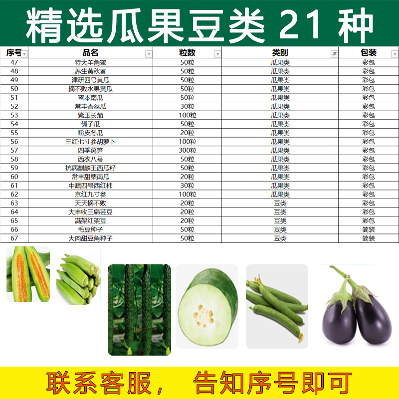 上百品种蔬菜种子四季播种阳台盆栽庭院香菜青菜辣椒生菜芽苗菜籽 - 图2