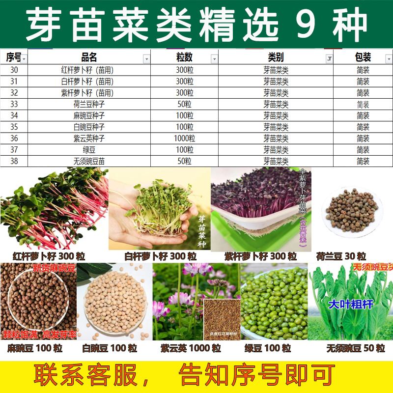 上百品种蔬菜种子四季播种阳台盆栽庭院香菜青菜辣椒生菜芽苗菜籽 - 图3