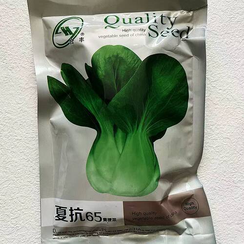 上海青种籽一斤四季播小青菜小油菜白菜种籽高产阳台盆栽蔬菜种孓 - 图2