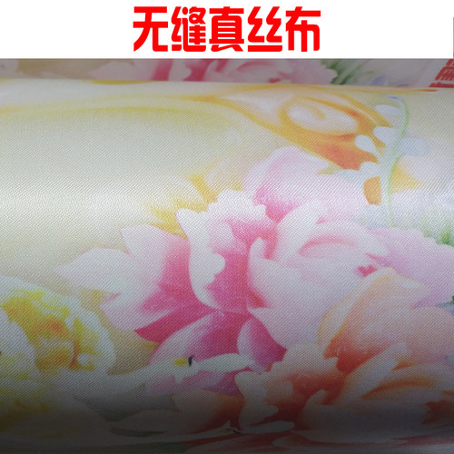 美逸家壁画天花吊顶壁画3D5D8D壁画穹顶壁画无缝壁画顶棚壁画 - 图0