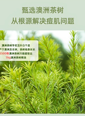 茶树单方精油15ml正品呵护10ml