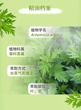 多特瑞艾草单方植物精油芳疗纯正天然有效香薰净化平衡正品15ml