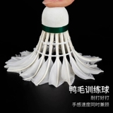 Подлинный Nuo's Boer 504 Green Borp Bad Bad Minton Contable and Playing Training Competition 12 Pack Club Ball