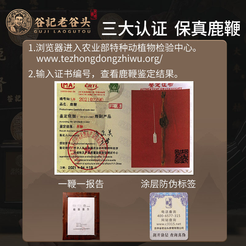 老谷头马鹿鞭整根50克礼盒送泡酒料 老谷头鹿制膏/鹿制品