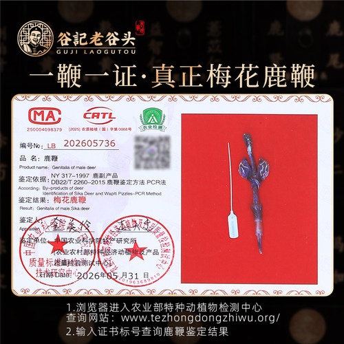 老谷头吉林梅花鹿鞭礼盒装男性补品泡酒料干鹿鞭整根可搭配鹿茸片 - 图1