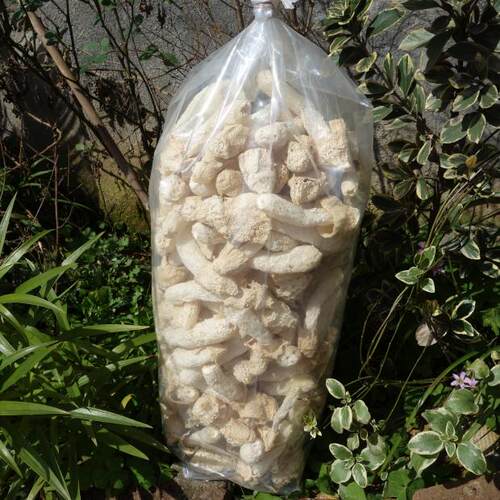 竹荪竹笙天然无硫熏菇蕾农家自产干货特产直销1斤肉厚蘑菇菌 - 图2