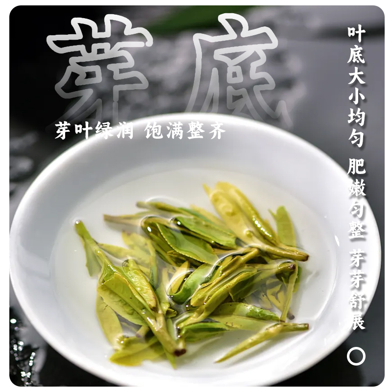 三亩良田崂山茶全家福小样品鉴绿茶红茶金桂红5g*3袋/盒便携茶包