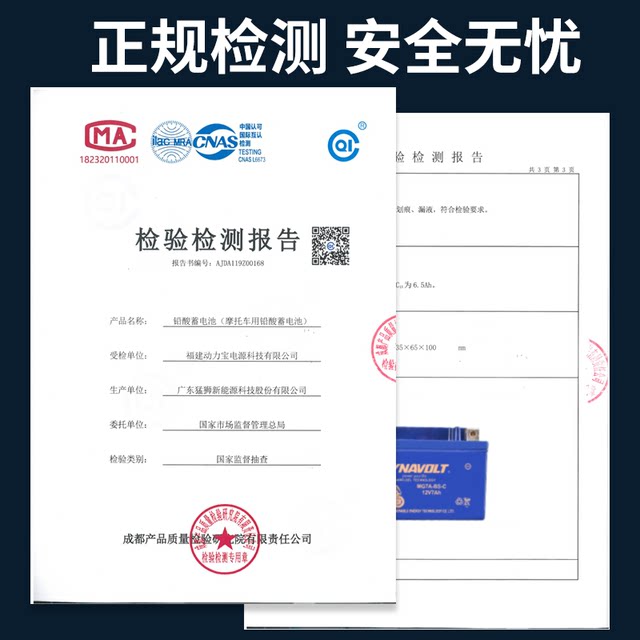 Honda Forza FORZA250300 Lion Battery