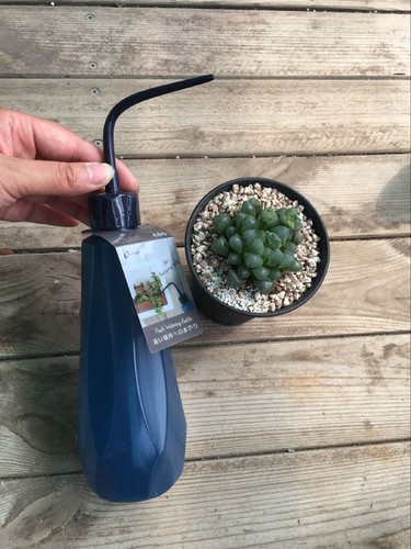 richell弯嘴挤压壶 捏壶 彩色壶 多肉浇水壶 小盆栽给水壶施肥壶 - 图1