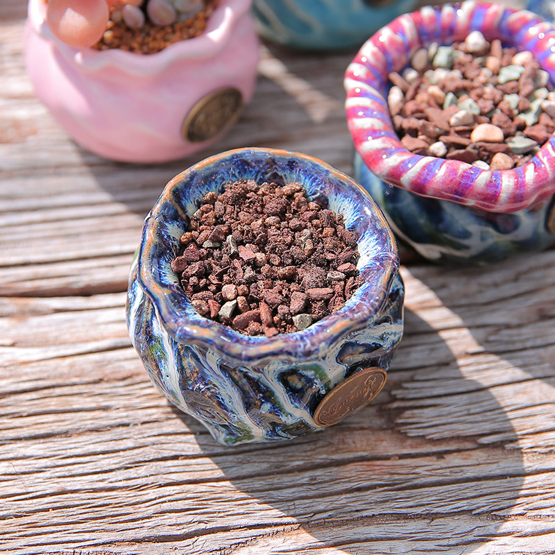 戚大叔 多肉土专用颗粒营养土植物进口泥炭种植土铺面石叶插纯土,淘宝优惠券,粉丝福利购,淘宝优惠卷