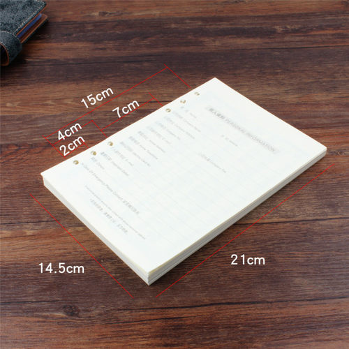 港信 A5活页芯 活页本替换芯 替换内页6孔活页纸 记事本活页芯 - 图1