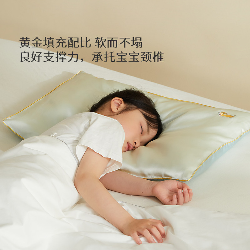 太湖雪儿童蚕丝枕头枕芯护颈A类标准单人小枕头2-8岁,淘宝优惠券,粉丝福利购,淘宝优惠卷