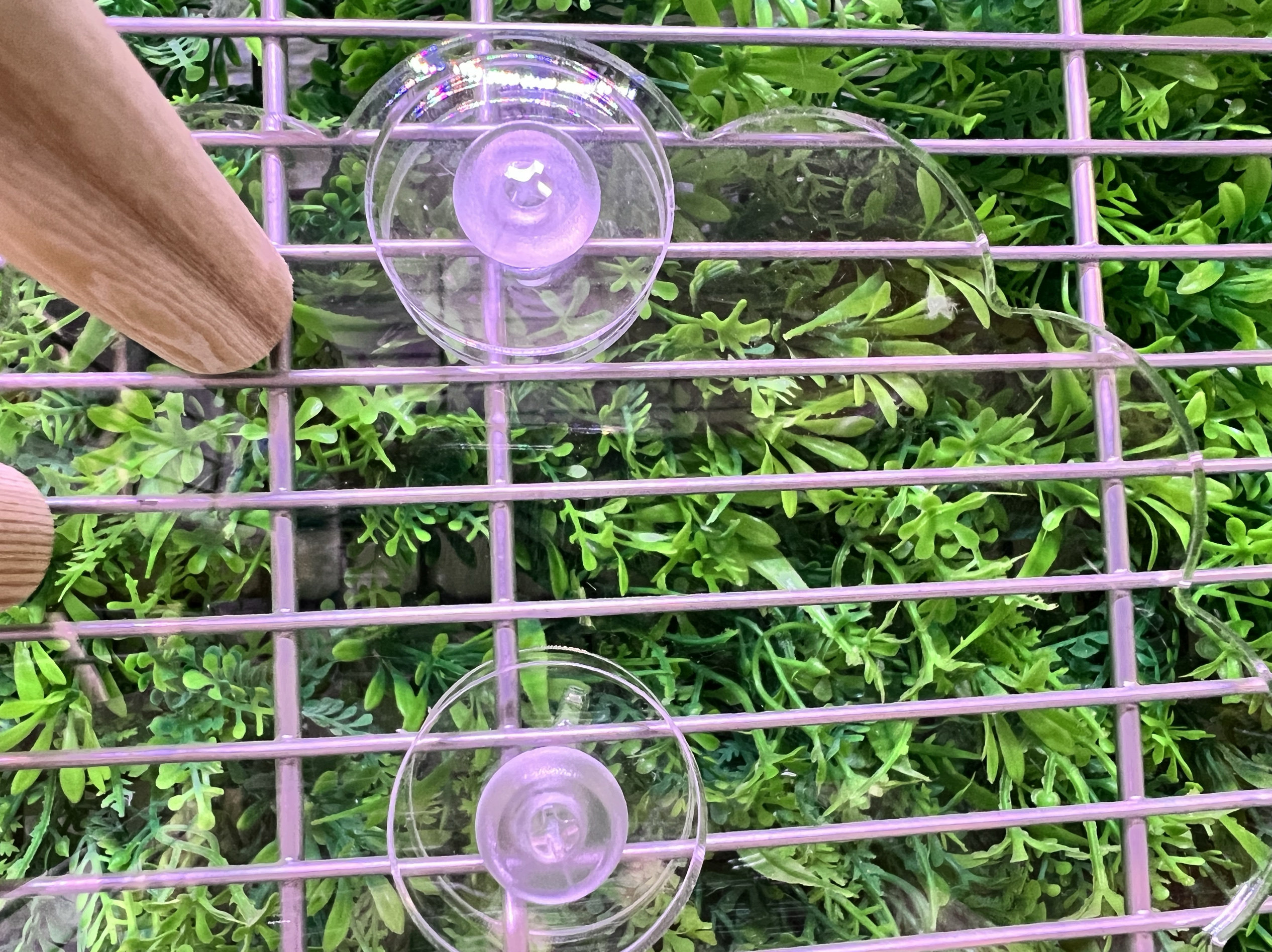 亚克力垫片玩具垫圈牡丹玄凤鹦鹉鸟笼配件防掉漆垫片适配M6螺丝,淘宝优惠券,粉丝福利购,淘宝优惠卷