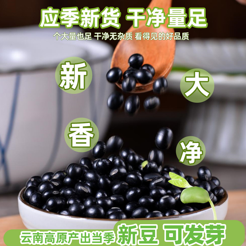 绿芯黑豆新货5斤大黑豆子青仁绿心发豆芽醋泡杂粮五谷打豆浆专用 - 图3