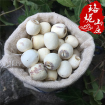 Yunnan white lotus seed farmhouse self-produced dry goods without lotus heart without sulphur lavender 500g