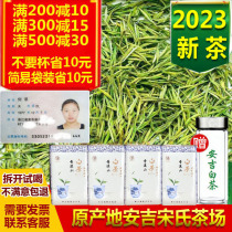 Spot 2023 New Tea Anji White Tea Authentic 500 gr Rain Former Special Level Spring Tea Origin Green Tea Bulk canned