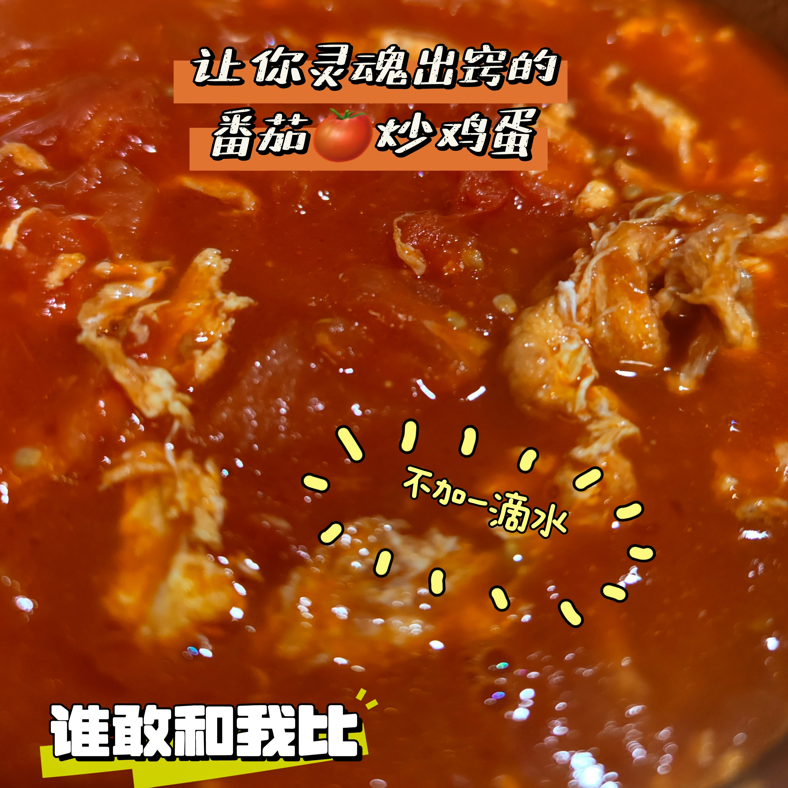 张小猪番茄现摘6斤生态种植农家自然熟新鲜西红柿非转基因顺丰,淘宝优惠券,粉丝福利购,淘宝优惠卷